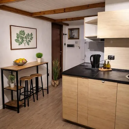 Apartment Comfort Loft Porta Romana Centro *